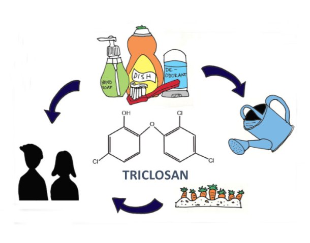 MMendez_tracingtriclosan_MARTHAchapa_TCS_CYCLE